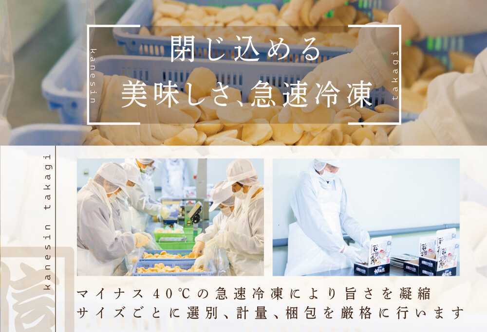 思わず笑うほど驚く お試し ジャンボ ホタテ 500g【KT0000027】