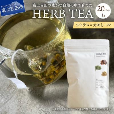 ふるさと納税 富士吉田市 ハーブティー(シトラス&amp;カモミール)ティーバッグ 20個