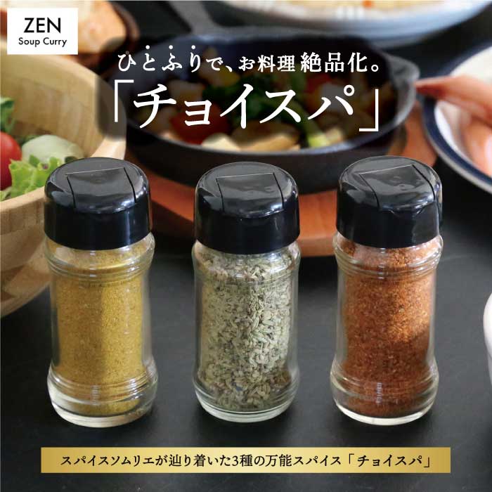 【ふるさと納税】 スープカレー専門店 禅 チョイスパ 3種の詰め合わせセット (スパイシー味・カレー味・ホットチリ味) 各40g×3本 セット スパイス オリジナルスパイス 万能スパイス パスタ サラダ 魚 調味料 万能調味料 常温 送料無料 福岡県 うきは市