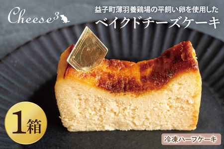 ベイクドチーズケーキ 冷凍 ハーフケーキ CP004