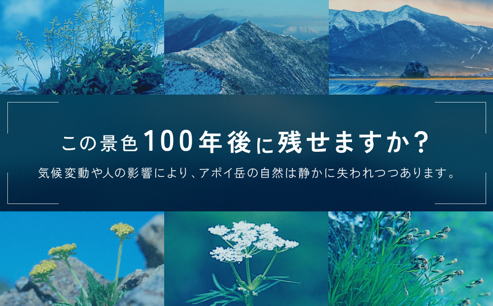 【返礼品なし】アポイ岳ファンクラブ自然保全活動応援　300,000円