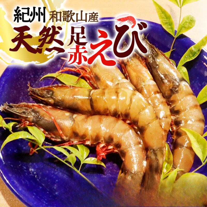 【ふるさと納税】 紀州和歌山産天然足赤えび 【選べる容量】 540g 540g×2 化粧箱入 ※2025年11月末頃〜2026年1月下旬頃順次発送予定（お届け日指定不可）／海老 エビ えび クマエビ 足赤 天然 おかず 赤エビ 赤えび 甲殻類 海鮮 貝 足エビ
