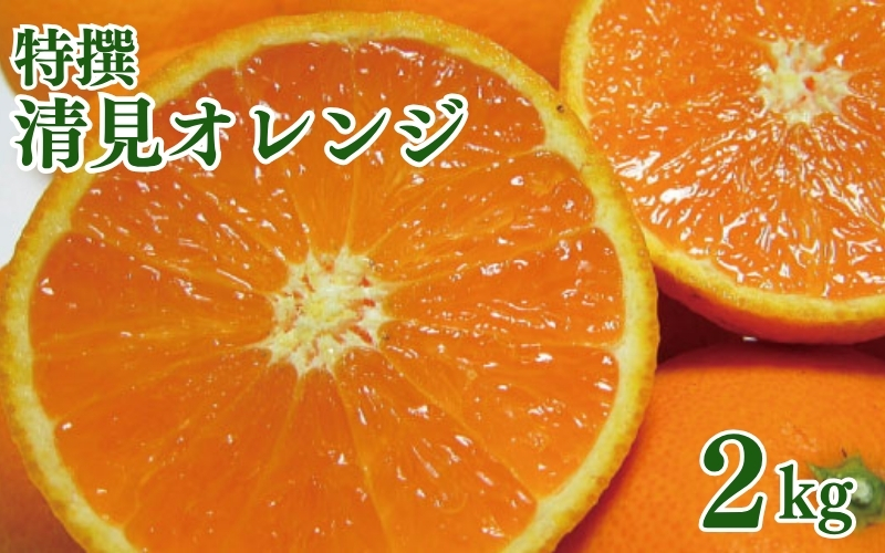 特撰　清見オレンジ 2kg+200g(補償分)【2027年2月下旬～5月上旬頃に順次発送予定】【ard238A】