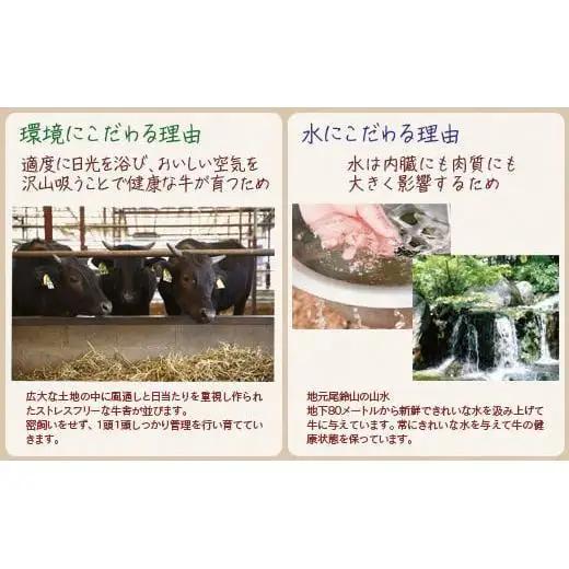 【個数限定】黒毛和牛 薄切り牛タン400g （200g×2）小分け 国産牛タン＜14-17a＞宮崎有田牧畜産業