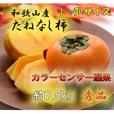 ふるさと納税 九度山町 【2025年発送】JA紀北かわかみのたねなし柿 秀品 7.5kg L〜3Lサイズ(36玉〜28玉)