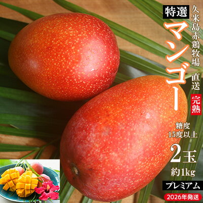 【ふるさと納税】【2026年発送】久米島赤鶏牧場 直送！糖度15度以上「プレミアム」完熟マンゴー 2玉（約1kg） マンゴー 完熟 アップルマンゴー アーウィン 糖度15度 特選品 プレミアム 贈答 贈り物 甘い 濃厚 循環型農業 減農薬栽培 芳醇 爽やか 南国フルーツ ギフト 沖縄