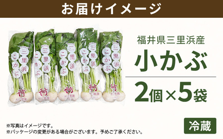 【期間限定】福井県坂井市三国町 村上農園産 小かぶ5パック入り（2玉×5袋）【かぶ カブ 蕪 野菜 鍋 新鮮 産地直送 贈答 ギフト】 [B-16501]