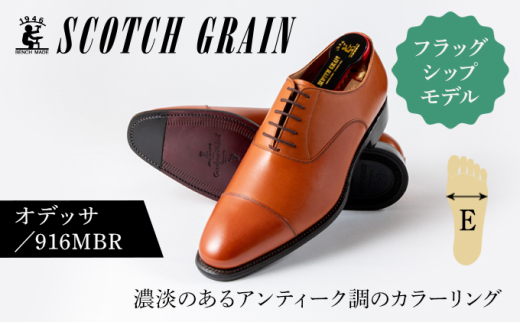 スコッチグレイン ビジネスシューズ メンズ オデッサ 916MBR ストレートチップ 革靴 本革 日本製 E 送料無料 ギフト【26.5cm】 [№5619-7526]1363