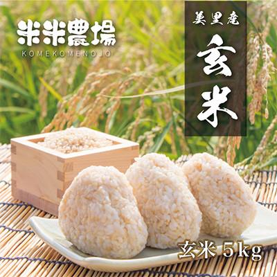 ふるさと納税 美里町 【令和7年産】熊本県美里町のお米ヒノヒカリ玄米 5kg×1袋 |  | 01