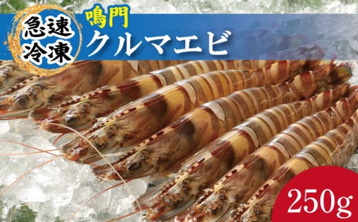 車海老 250g 約7尾～10尾 クルマエビ 車エビ えび エビ 急速冷凍 養殖 塩焼き 天ぷら フライ 冷凍 徳島 鳴門
