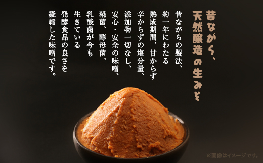 〈2024年8月以降順次発送〉おばあちゃんの手づくり丹波黒大豆入り味噌 (500g×2)  AS35A2
