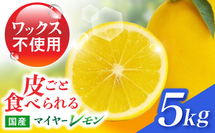 マイヤーレモン 5kg / レモン れもん 檸檬 フルーツ / 諫早市 / 山野果樹園 [AHCF004]