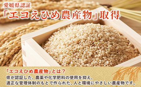 ＜令和7年産 西予市産 特別栽培米 エコえひめ コシヒカリ 玄米 約3kg＞国産 農薬・化学肥料不使用 一等米 3キロ 愛媛県産 こしひかり お米 米 コメ げんまい 産地直送 送料無料 シゲちゃん農
