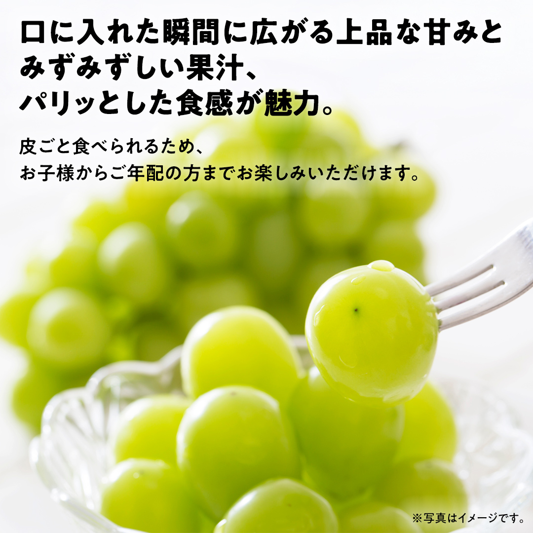 【 先行予約 ・ 数量/期間限定 】 シャインマスカット 3～4房（約2kg ） ブドウ ぶどう マスカット 種なし 皮ごと フルーツ 果物 くだもの 産直 新鮮 採れたて [CQ05-NT]_イメー