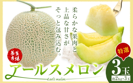 アールスメロン 約2kg×3玉 特選 (約6kg)【養生市場】メロン 果物 フルーツ マスクメロン 九州産 熊本県産 送料無料 《2026年10月中旬-11月中旬頃出荷予定》