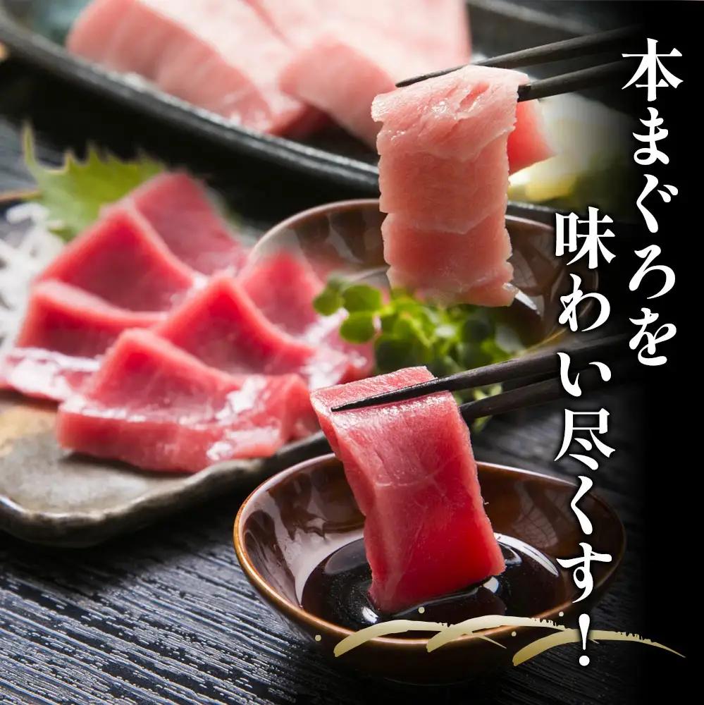 本マグロ 中トロ 赤身 セット | 本マグロ 津久見市
