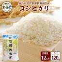 【ふるさと納税】【お米の定期便12回】那賀町のお米 コシヒカリ 10kg×12回 計120kg【徳島県 那賀町 相生 国産 白米 精米 コシヒカリ 10kg 10キロ 120kg 120キロ 産地直送】YS-17