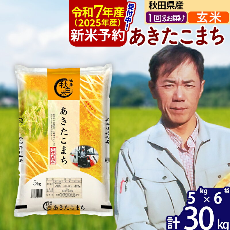【ふるさと納税】※令和7年産 新米予約※秋田県産 あきたこまち 30kg【玄米】(5kg)【1回のみお届け】2025産 お米 みそらファーム