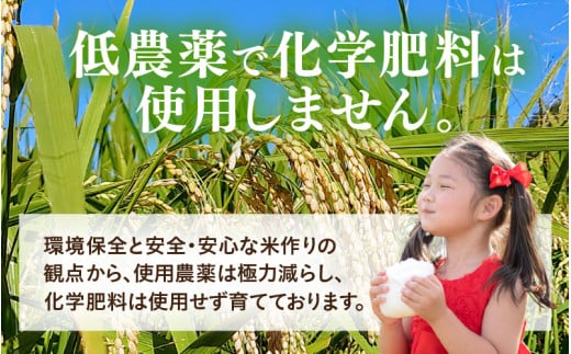 【先行予約】【令和8年産】化学肥料不使用 てんこもり 精米 5kg / 白米 米 福井県あわら市産 美味しい 特別栽培米 減農薬 安心な米 旨味 甘み もっちり 冷蔵保管米 ※2026年9月下旬以降発