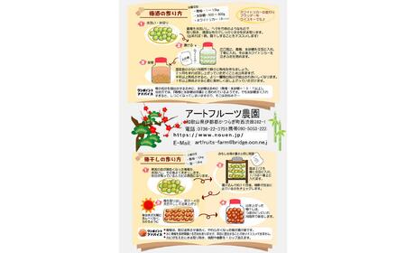 【梅干・梅酒用】大玉4Lサイズ10Kg熟南高 生梅 赤秀品＜2025年6月上旬～7月7日発送予定＞