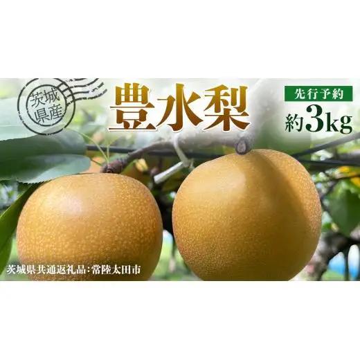 【 先行予約 】茨城県産 梨 豊水 約3kg 7玉～9玉 ( 茨城県共通返礼品 : 常陸太田市 )【 2026年 9月上旬頃より発送 】