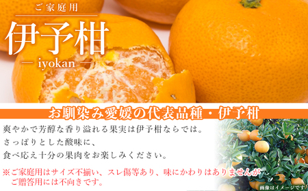 愛媛県西予市産　伊予柑　ご家庭用　4kg