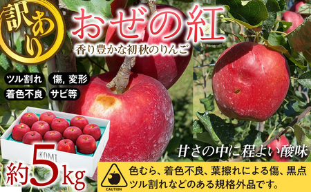 りんご 訳あり 先行予約 おぜの紅 約5kg  2024年 令和6年度発送分 リンゴ 林檎 長野 フルーツ 果物 果物類 信州産 長野県産 特産 産地直送 おすすめ 旬の果物 旬のフルーツ 初秋のりんご 食後 デザート 食べ物 食品