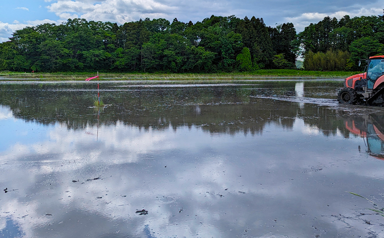 【先行予約】有機米にじのきらめき 白米 5kg 有機的栽培 令和7年産 | 有機 有機米 精米 福島産 福島県産 南相馬 みさき未来