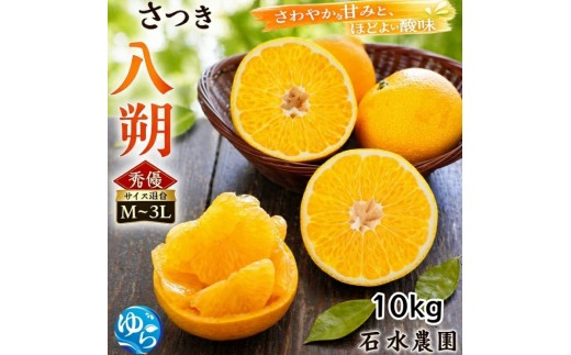 
                  さつき 八朔 10kg / はっさく ハッサク 柑橘 由良町 果物 フルーツ くだもの 産地直送 和歌山 ※2027年3月中旬から4月下旬に順次発送【 ism022-p-10】
                