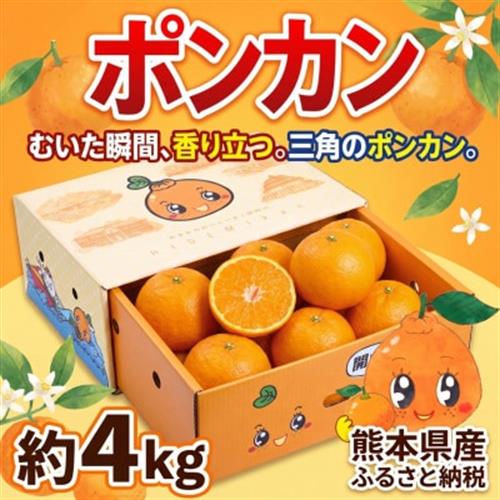 宇城市産  早生 ポンカン 約4kg ひでみかん【1474586】