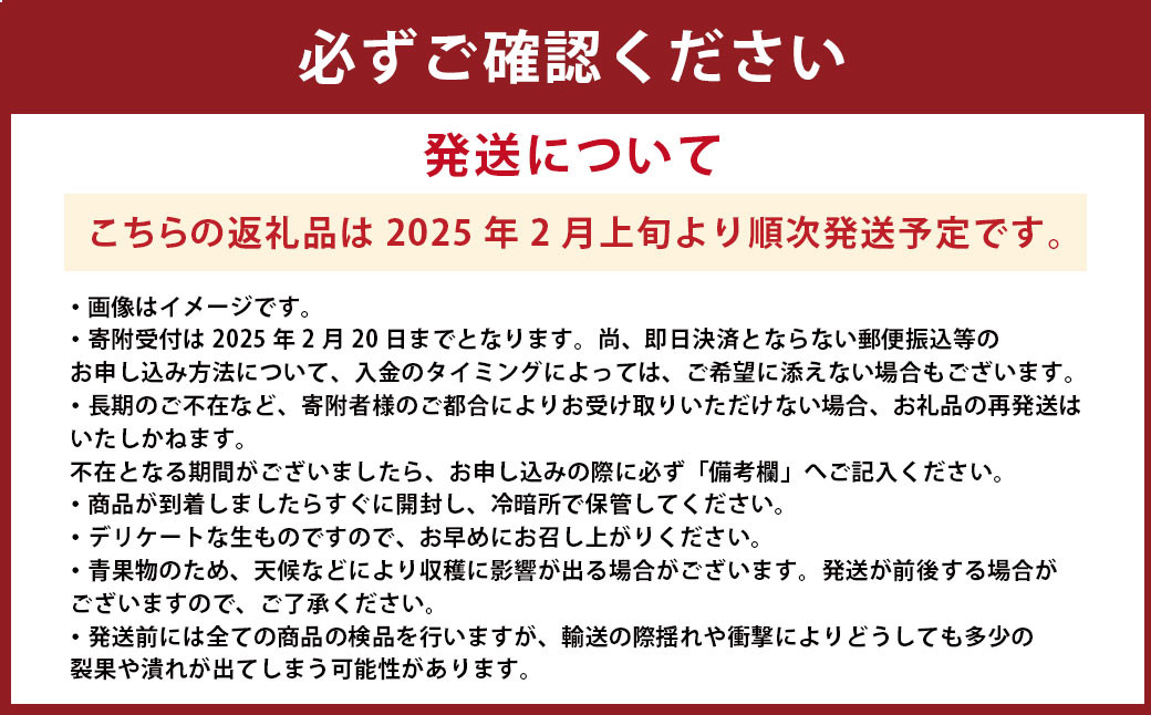 熊本県産 不知火おでこ 約5kg 