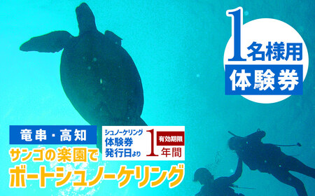 サンゴの楽園 高知・竜串 シュノーケリング 体験券（1名分）【初心者歓迎】【R01527】
