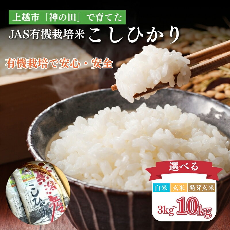【ふるさと納税】令和7年 新潟県産コシヒカリ アイガモ農法 5kg 5キロ 10kg 10キロ JAS有機栽培米 上越市 三和区神田 富永農産 送料無料 安全・安心こしひかり　お届け：2025年10月上旬から発送