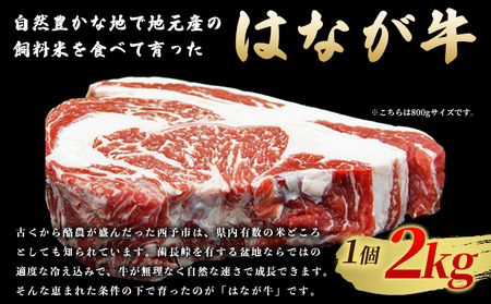 ＜熟成肉 はなが牛リブロースブロック約2kg（2kg×1個）＞ 牛肉 ステーキ 鉄板焼き 焼き肉 国産 塊肉 かたまり 霜降り しもふり バーベキュー BBQ キャンプ アウトドア 特産品 ゆうぼく 