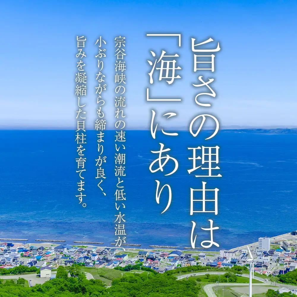 冷凍ほたて貝柱大中サイズ1kg １個【配送不可地域：離島・沖縄県】