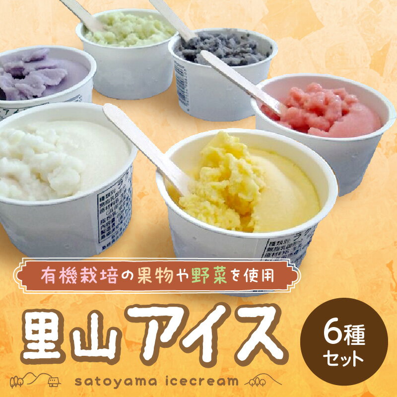 【ふるさと納税】里山アイスセット（6種セット） 詰め合わせ ギフト 母の日 お中元 夏ギフト ご褒美 取り寄せ 贈り物 アイスギフト 冷菓 ひんやりグルメ おやつ お菓子 デザート スイーツ 【015_1469】