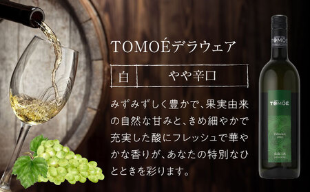 【全2回定期便】TOMOEデラウェア 白ワイン やや辛口 750ml 1本 白 ワイン 受賞 ギフト 醸造 おすすめ 三次市 / 広島三次ワイナリー[APAZ049]