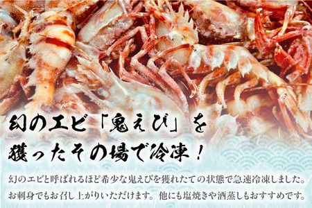 希少！鬼えび 700g前後 冷凍 エビ 香美町 56-13