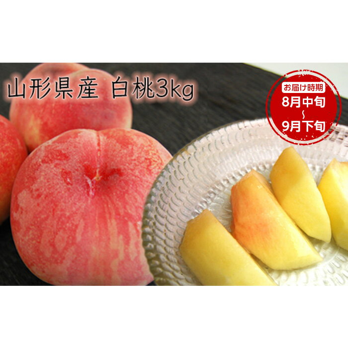 【ふるさと納税】《先行予約 2026年度発送》【山形県産】白桃3kg(7～12玉) もも モモ 桃 デザート フルーツ 果物 くだもの 果実 食品 山形県 FSY-2499