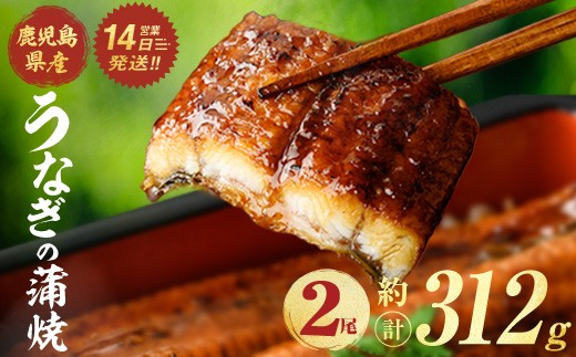 
                  鹿児島県産うなぎ蒲焼 (計約312g / 約156g×2尾) 鰻 ウナギ うなぎ【薩摩川内鰻】 A1112
                