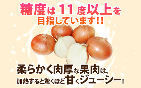 新玉ねぎ 4kg 淡路島 不揃い / フルーツ玉ねぎ