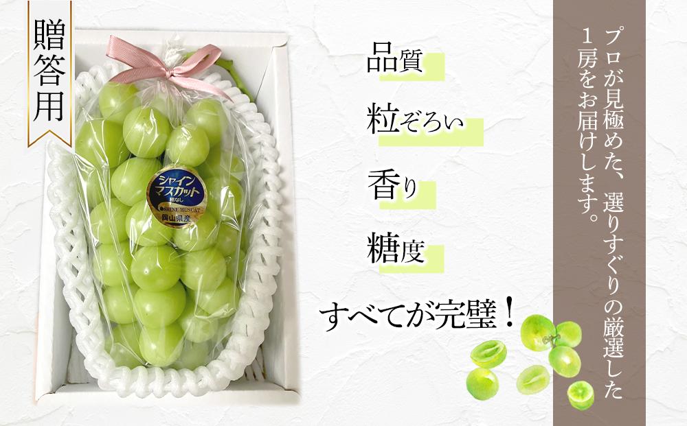岡山県産 高級 シャインマスカット 700g以上 1房 贈答品＜2024年9月以降発送＞