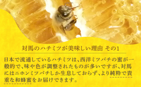 対馬 ニホンミツバチ 巣蜜 はちみつ 稀少 つしま 《対馬市》【特定非営利活動法人 對馬次世代協議会（対馬コノソレ）】九州 長崎 スイーツ トッピング 朝食 おやつ[WAM022] コダワリはちみつ 