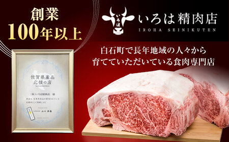 【12回定期便】佐賀牛 定期便 / 牛肉 [IAG079]
