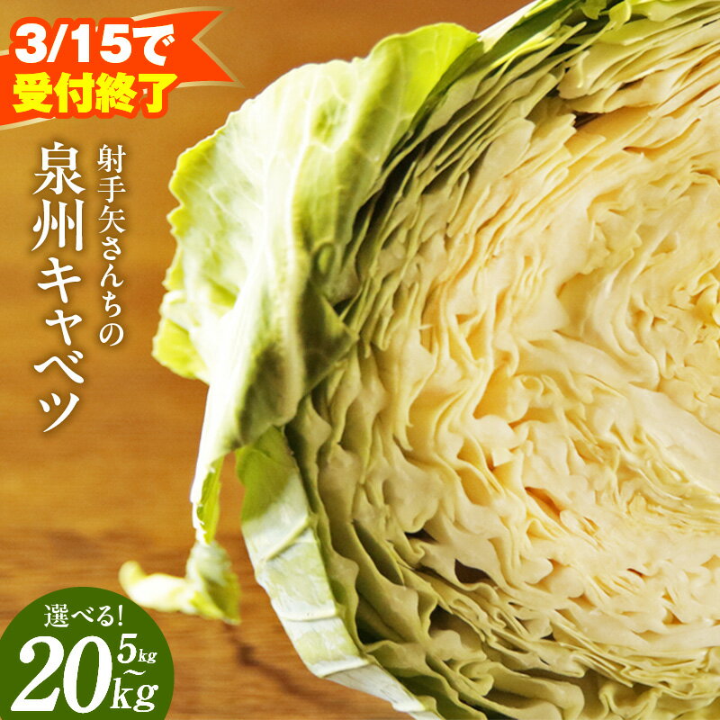 【ふるさと納税】【3月15日受付終了】 最短翌日 ★高評価 4.85 泉州キャベツ 5kg ～ 20kg 1位獲得 射手矢農園 泉佐野市産 農家直送 芯まで甘い キャベツ 新鮮 常備菜 野菜 旬 サラダ お好み焼き ロールキャベツ 訳あり サイズ不揃い 規格外 5営業日 泉佐野市 送料無料