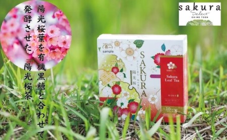 SAKURA select　TEA TIME　セット 飲料類 お茶 
