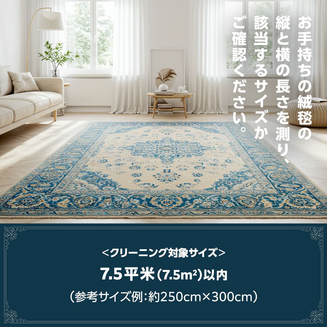 宅配 絨毯 クリーニング チケット │ しっかり水洗いケアコース（7.5平米以内）約250cm×300cm 宅配 クリーニング 洗濯 洗浄 清潔 じゅうたん ラグ カーペット 丸洗い マット ニオイ対