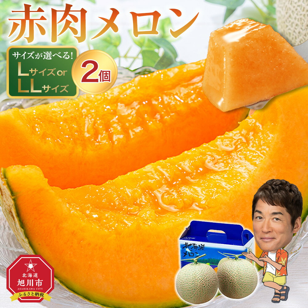 先行予約 北海道「赤肉メロン」L玉×2個（2023年7月中旬発送開始予定 | メロン 赤肉 果物 フルーツ 大人気 高評価 ランキング 糖度 2玉 デザートお取り寄せ 旭川市ふるさと納税 北海道ふるさと納税 旭川市 北海道 送料無料