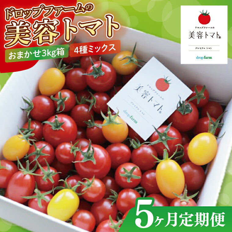 【ふるさと納税】【5ヶ月定期便】【11月より順次発送】ドロップファームの美容トマトおまかせ3kg箱(4種ミックス)【とまと フルーツトマト 野菜ソムリエ 栄養士 アイコ イエローアイコ 小鈴 フルティカ 野菜 フレッシュ 水戸市 茨城県】（CK-24）