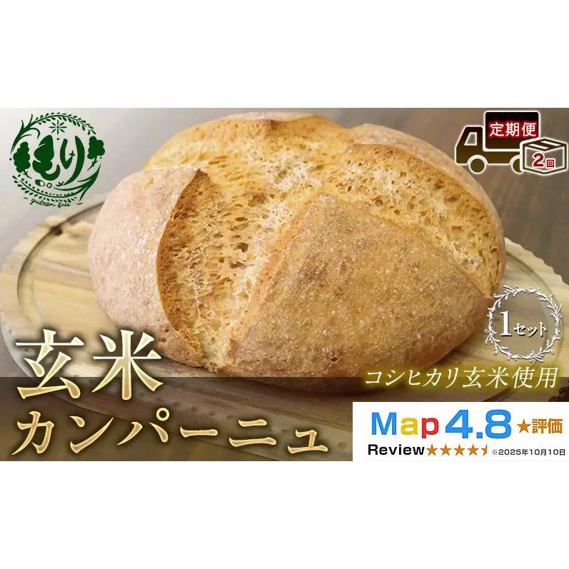 パン 玄米パン カンパーニュ 定期便2ヶ月 パン